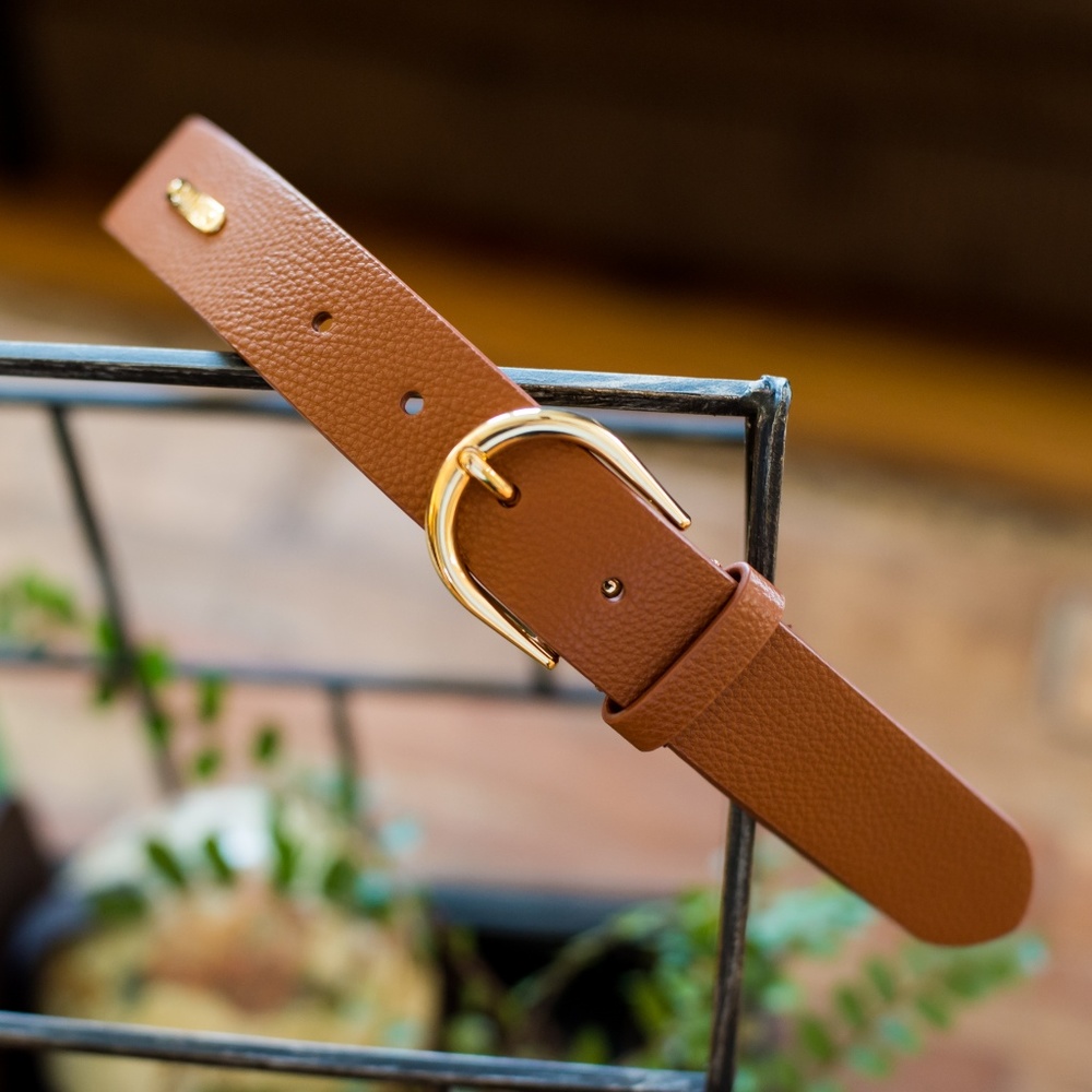 Chaps Brown & Gold Belt